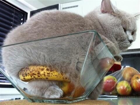 Технически я не на столе