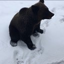 ���� ���������, ���������, 45 ��� - ��������� 12 ������� 2018 � ������ ���� ����������