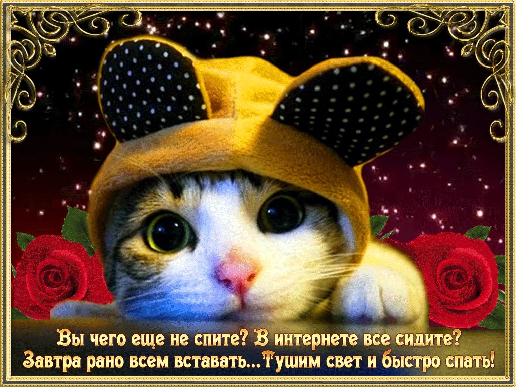 ������ - 9 �������� 2018 � 22:37