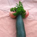 ������ ��������� �� ������� ���� ����������