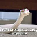 ���� ����, ����� - ��������� 23 ���� 2018 � ������ ������ ��������