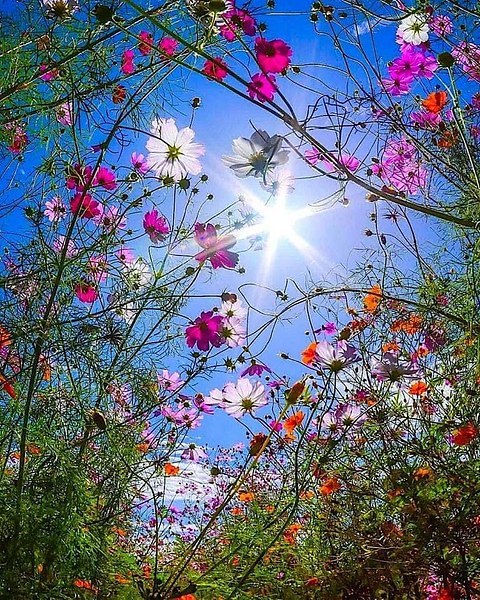  - 30  2018  10:16 - 3