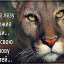 ���� �����, ���, 47 ��� - ��������� 2 �������� 2018 � ������ ���� ����������
