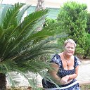 ���� ������� ������, ������ �����, 72 ���� - ��������� 16 ������ 2019 � ������ �2018 ���������