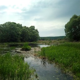 ���� �, �������, 46 ��� - ��������� 4 ������� 2018