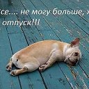 ���� ���������, ����������� - ��������� 25 �������� 2018 � ������ ���� ����������