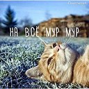 ���� �������, ����, 54 ���� - ��������� 6 ������� 2018 � ������ ������ ��������