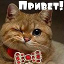 ���� �����, ������� - ��������� 30 �������� 2018 � ������ ���� ����������