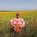 ���� �������, �������, 45 ��� - ��������� 3 ������� 2018 � ������ ���� ����������