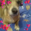 ���� ����, ������, 57 ��� - ��������� 5 ����� 2019