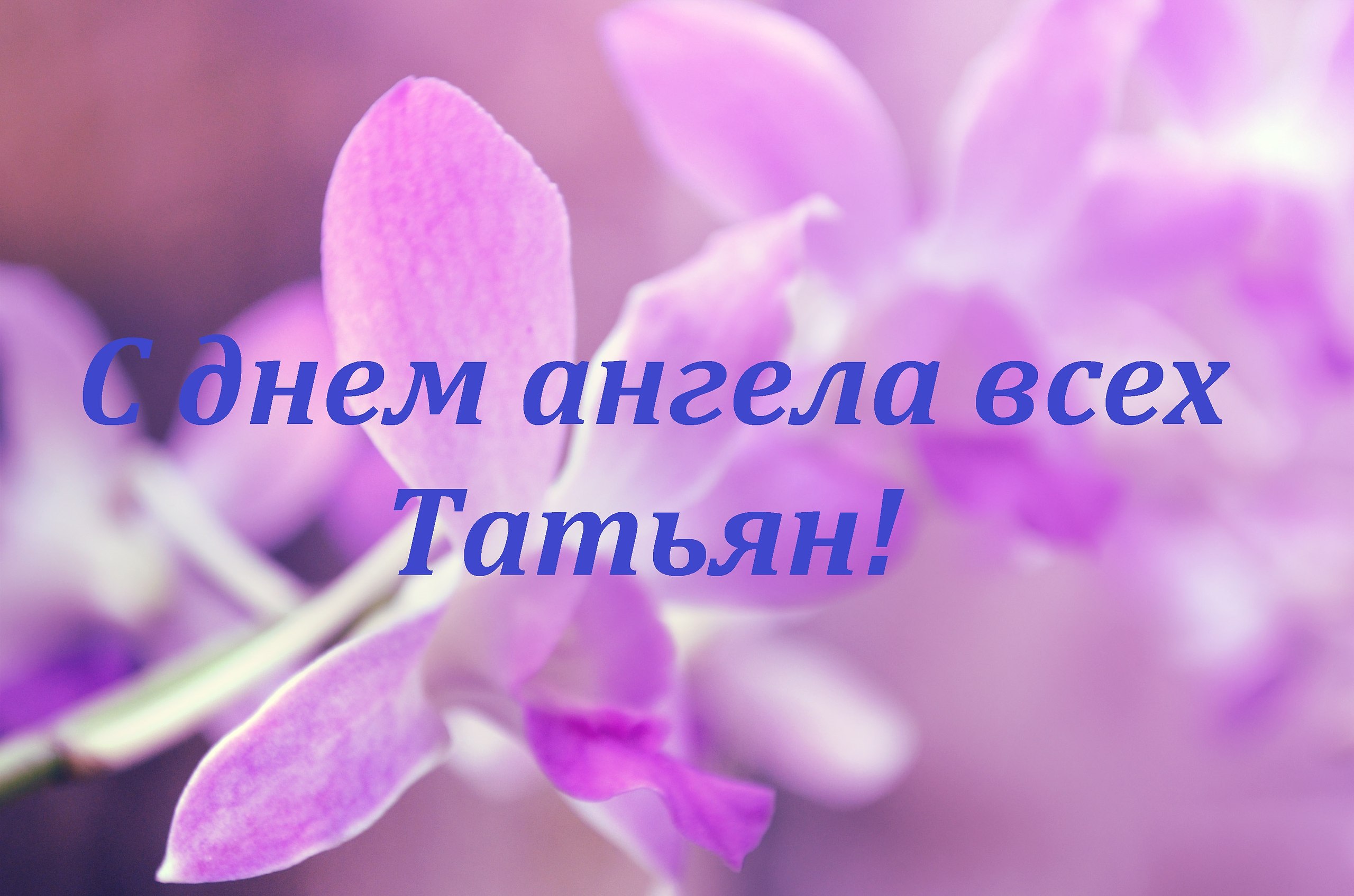  - 25  2019  13:15
