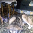 ���� ������, �������������, 32 ���� - ��������� 11 ������ 2019