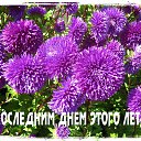 ���� �������, ������ - ��������� 31 ������� 2018 � ������ ������ ��������