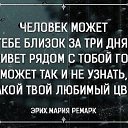 ���� ������, ���� - ��������� 20 ������� 2018 � ������ �������