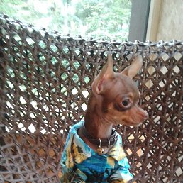 ���� ������, ������, 63 ���� - ��������� 6 ������� 2018