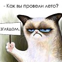 ���� ���������, ���������, 43 ���� - ��������� 24 ������ 2019 � ������ ���� ����������