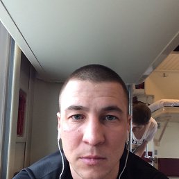 ������, 39 ���, ���������