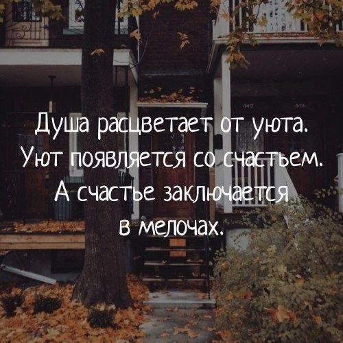 ! #@thelady