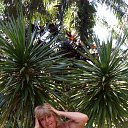 ���� �����, �������, 64 ���� - ��������� 31 ������� 2018 � ������ ������ ��������