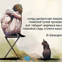 ���� Chudo, �����, 47 ��� - ��������� 19 ����� 2019 � ������ ������ ��������