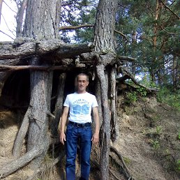 �������, �������, 46 ���