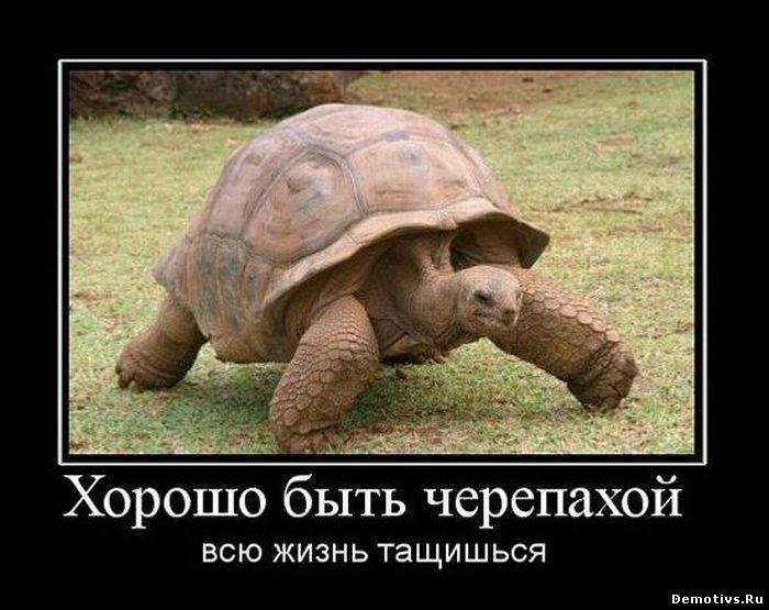 �������...)))