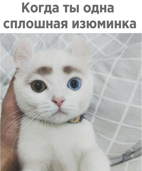   - 8  2018  16:30