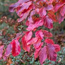 ���� Aleksa, ������, 30 ��� - ��������� 25 ������� 2018 � ������ ������ ��������