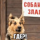 ���� ������, ������������ - ��������� 27 ����� 2019 � ������ �*������ � �����*, ��������, �����, ���������, ��������.�