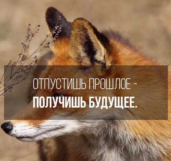     - 25  2018  16:22