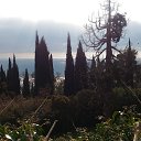 ,,25.02.19.10.50.        ,25.02.19.