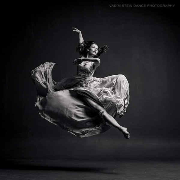   ,   .: Vadim Stein - 2