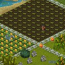 ���� ����, �������, 57 ��� - ��������� 8 ������� 2018 � ������ �Tropikania�