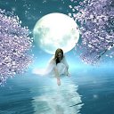 ���� ������, �����-��������� - ��������� 18 ������ 2019 � ������ ������ ��������