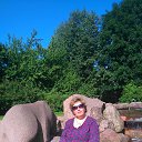 ���� ����, �����-��������� - ��������� 9 ������� 2018 � ������ ���� ����������