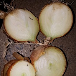 ���� ���������, ���, 39 ��� - ��������� 27 ������ 2018