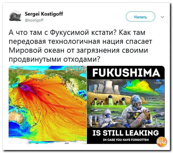 � �������������: ��� ��� � ... �������?