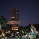  Tanya, , 65  -  17  2019    2019