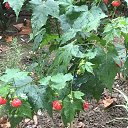 ���� ������, ������ �����, 40 ��� - ��������� 19 ������ 2018 � ������ ���� ����������