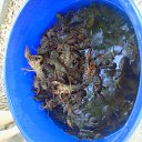  ,  , 65  -  28  2018    