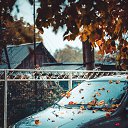 ���� ������, ������������, 40 ��� - ��������� 23 ����� 2019 � ������ ������Ż
