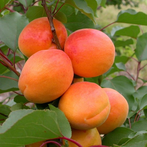  - 30  2018  10:16 - 2