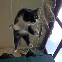 � �������� ���� ��� ����� �������� �� ������� ���� ����������