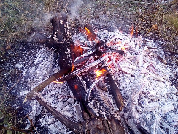 ���� ������� - 20 ������� 2018 � 14:14 - 3