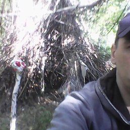 ���� �����, ���������, 39 ��� - ��������� 29 ���� 2018