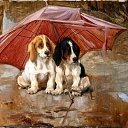  Din, , 66  -  9  2018    