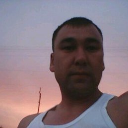 , 41 , 