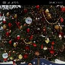 ���� �����, ������, 48 ��� - ��������� 11 ������ 2019 � ������ ���� ����������