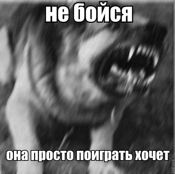  - 17  2018  17:13