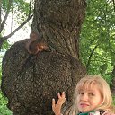 ���� Lilya, ������ - ��������� 2 ������� 2018 � ������ ������-2018�